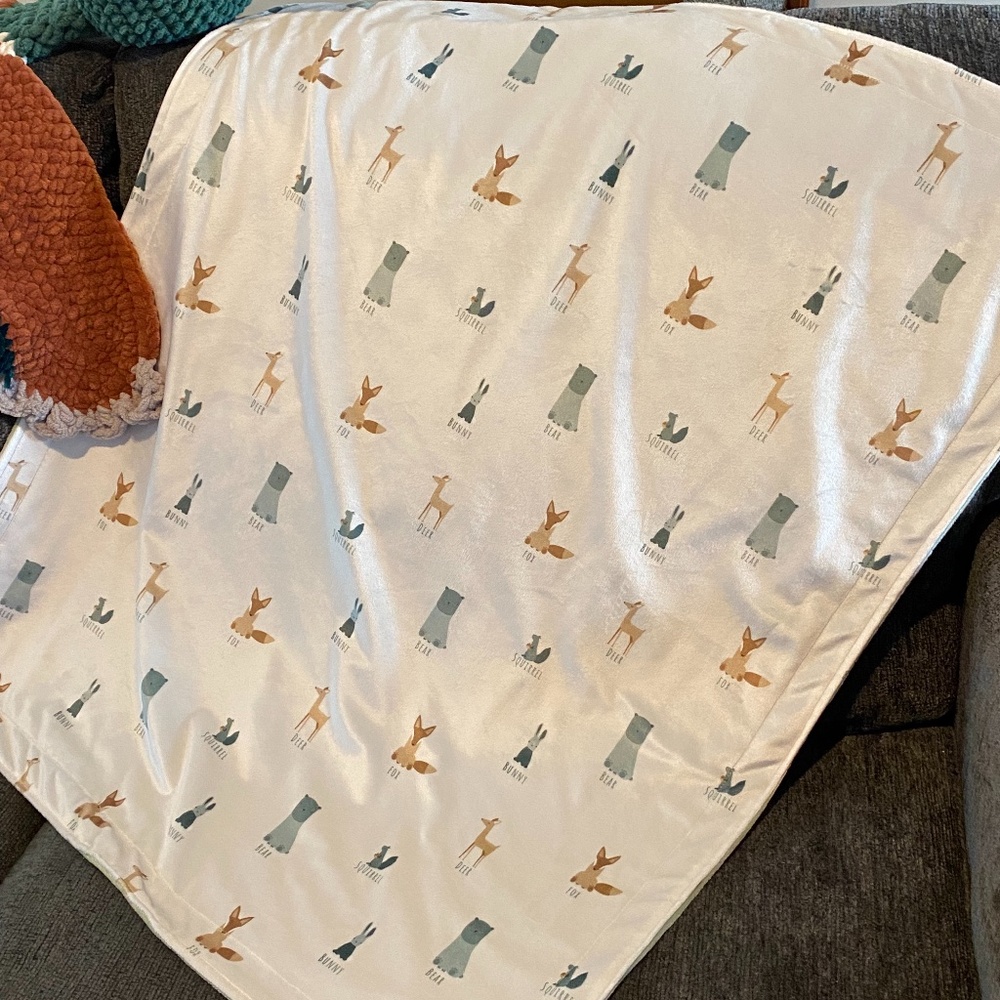 Minky Baby Blanket